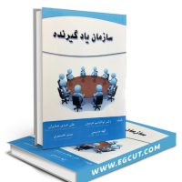 سازمان یادگیرنده