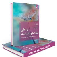 زندگی یک استارتاپ است